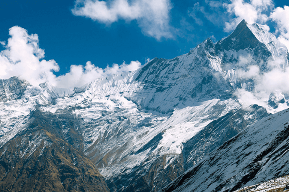 Npeal Trekkers: Experience Luxury Trekking in the Himalayas