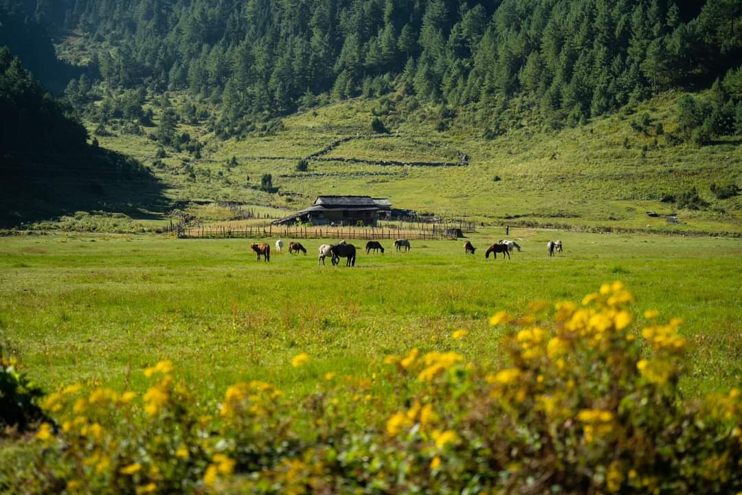 Lower Dolpo Trek Via Dhorpatan Hunting Reserve