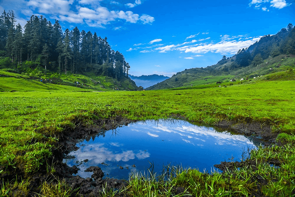 Khaptad National Park Trekking :Unexplored Beauty in Far Western Nepal